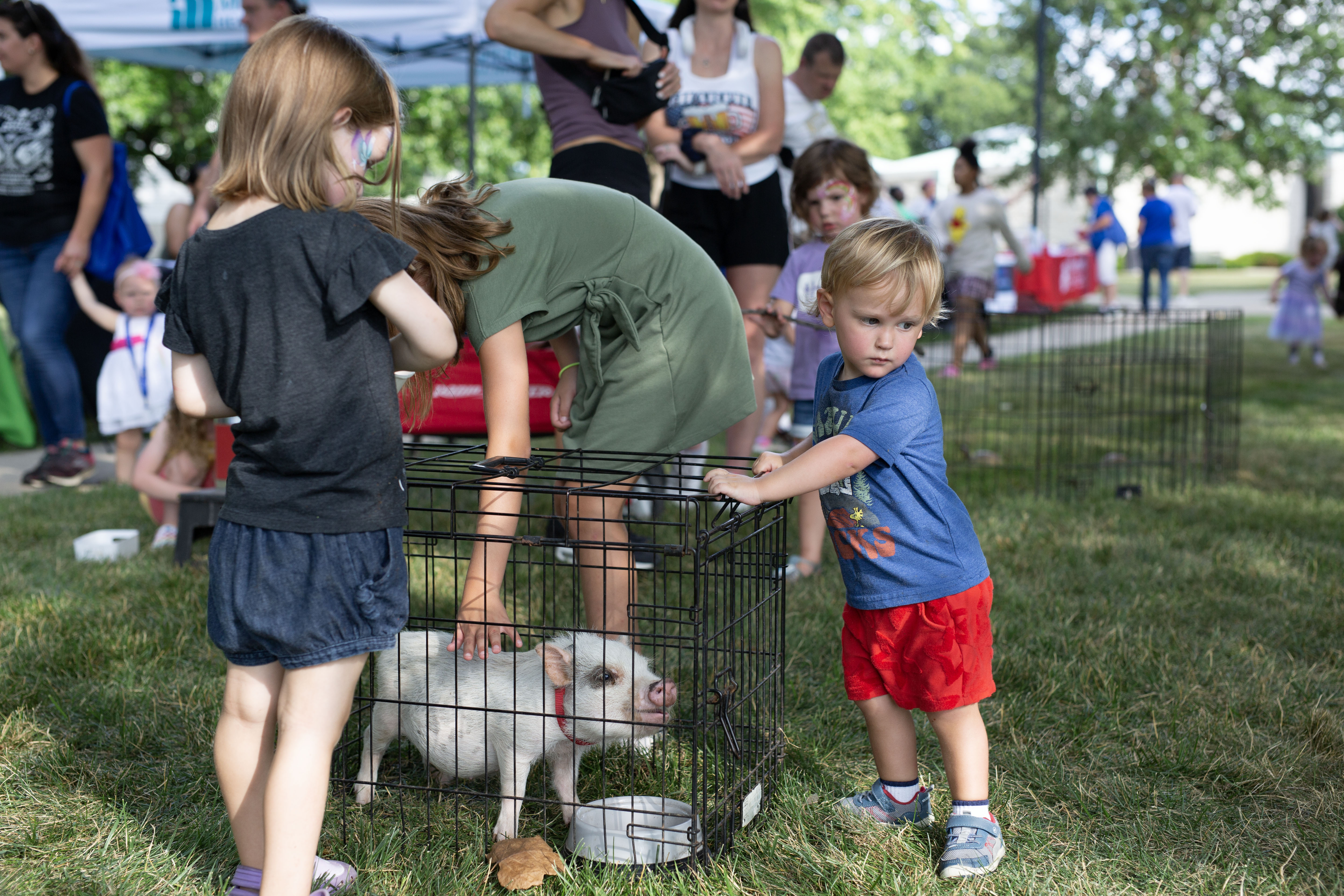Summerfest 2023 attendees visit with a friendly pig at the petting zoo, which is making a comeback at this year’s event. JAN DONA/MARKETING & PR