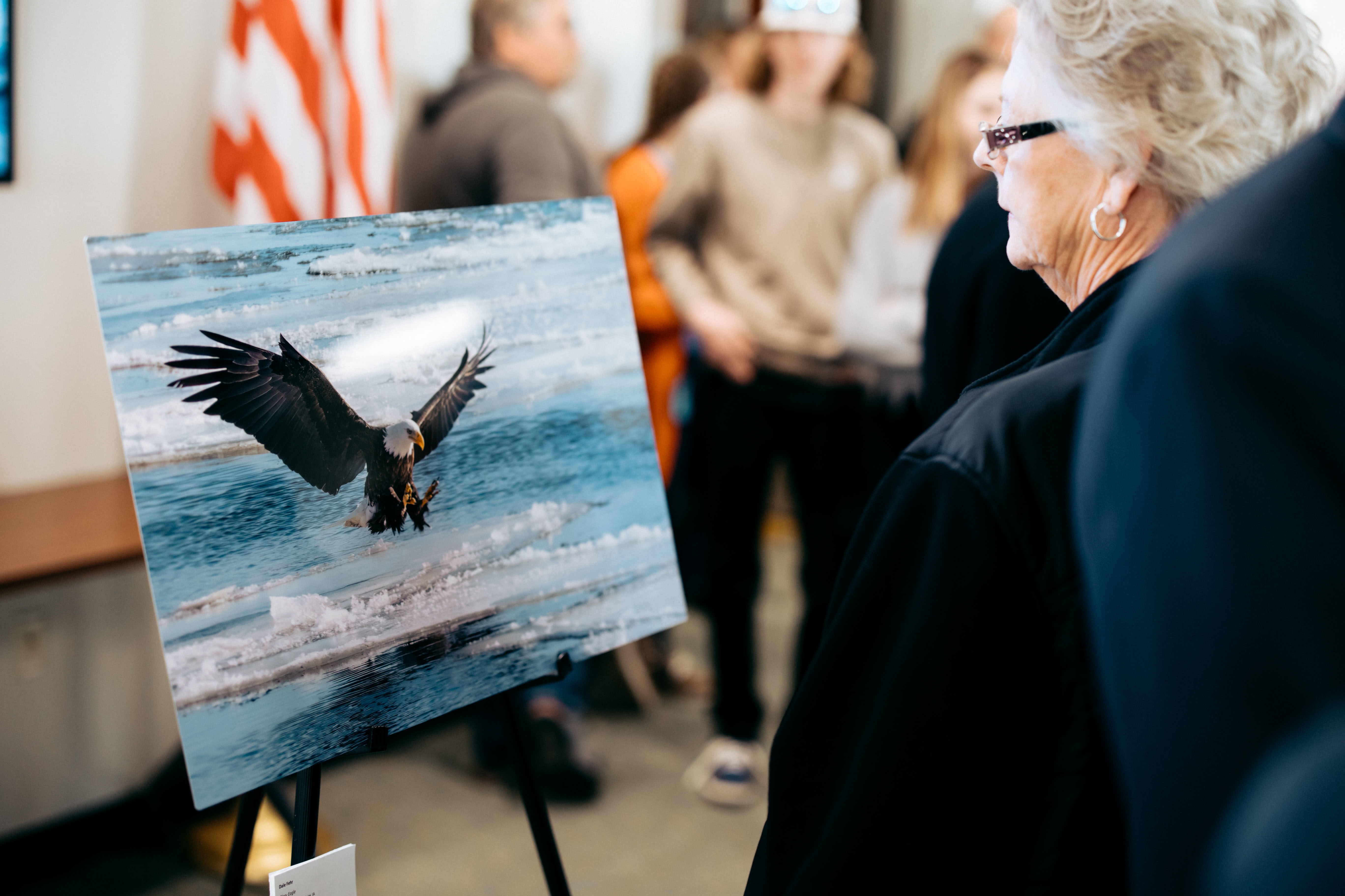 An exhibition guest viewing the overall winning photograph by contestant Dale Fehr at the 2024 event. Photo provided by Route 3 Films.