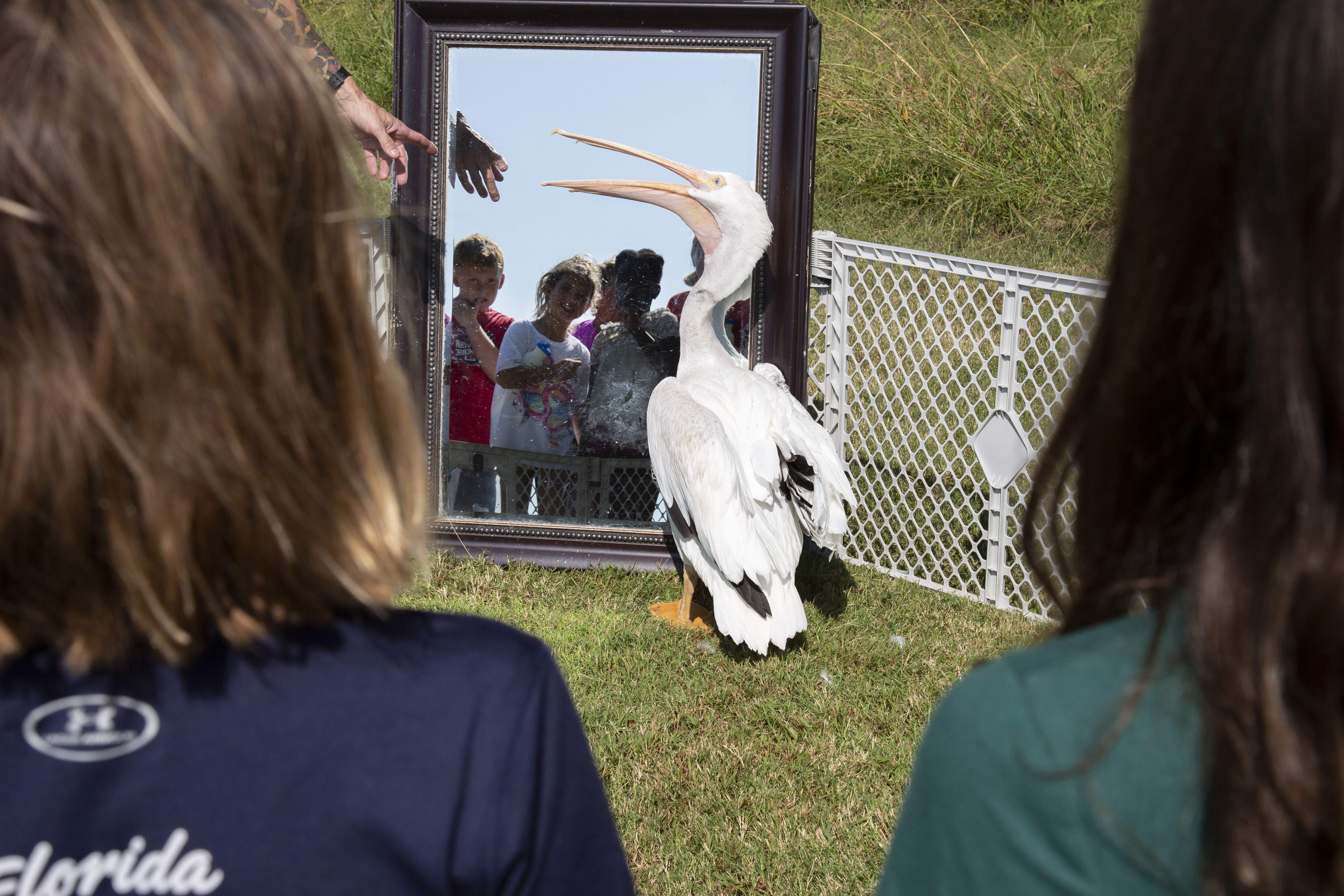 An exhibitor teaches participants about pelicans. NGRREC file photo.