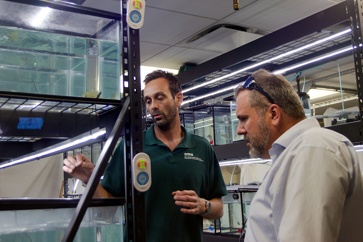 Dell Ecology Lab/NGRREC Ecologist Tony Dell discusses microplastics research with Brian Blowers, director of ESG Standards and Frameworks at Phillips 66.