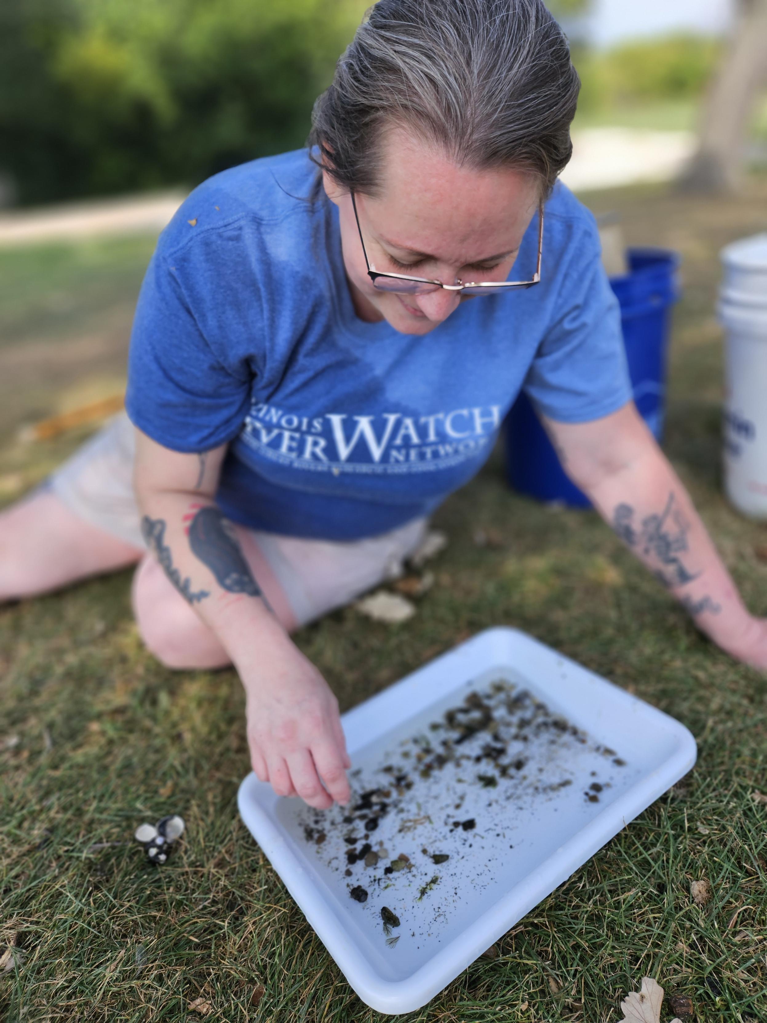 An Illinois RiverWatch volunteer looks for water bugs in a sample. (Photo by Caroline Teter)