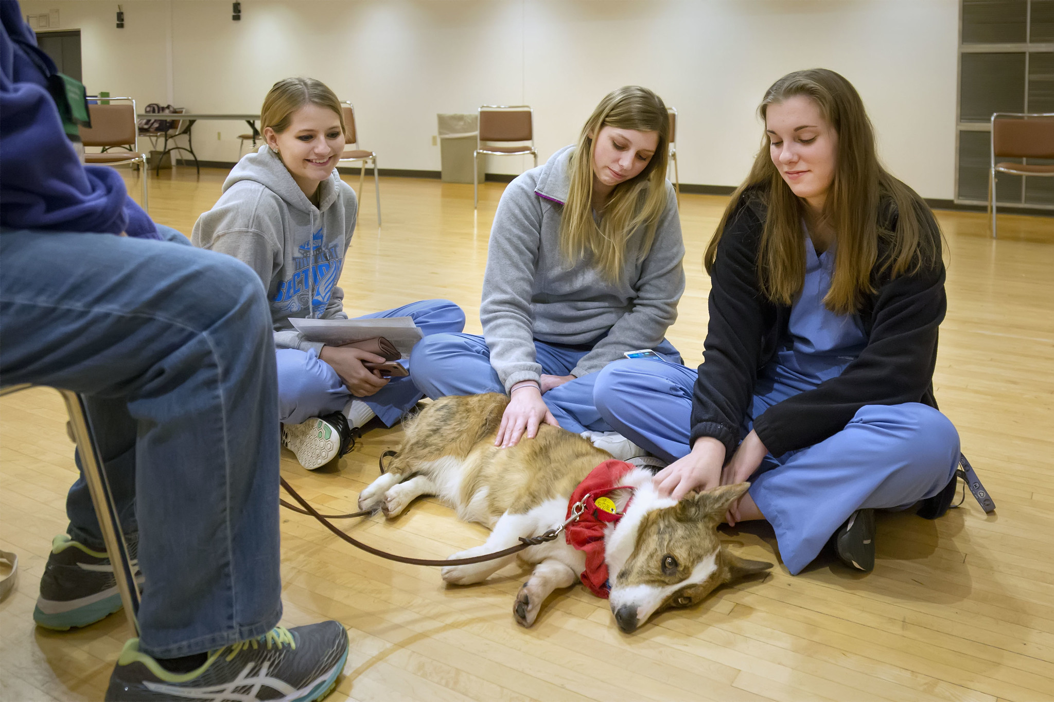 Lewis and Clark students take a time out from finals week to play with a therapy dog at a relaxation event on campus in 2019. L&C file photo.