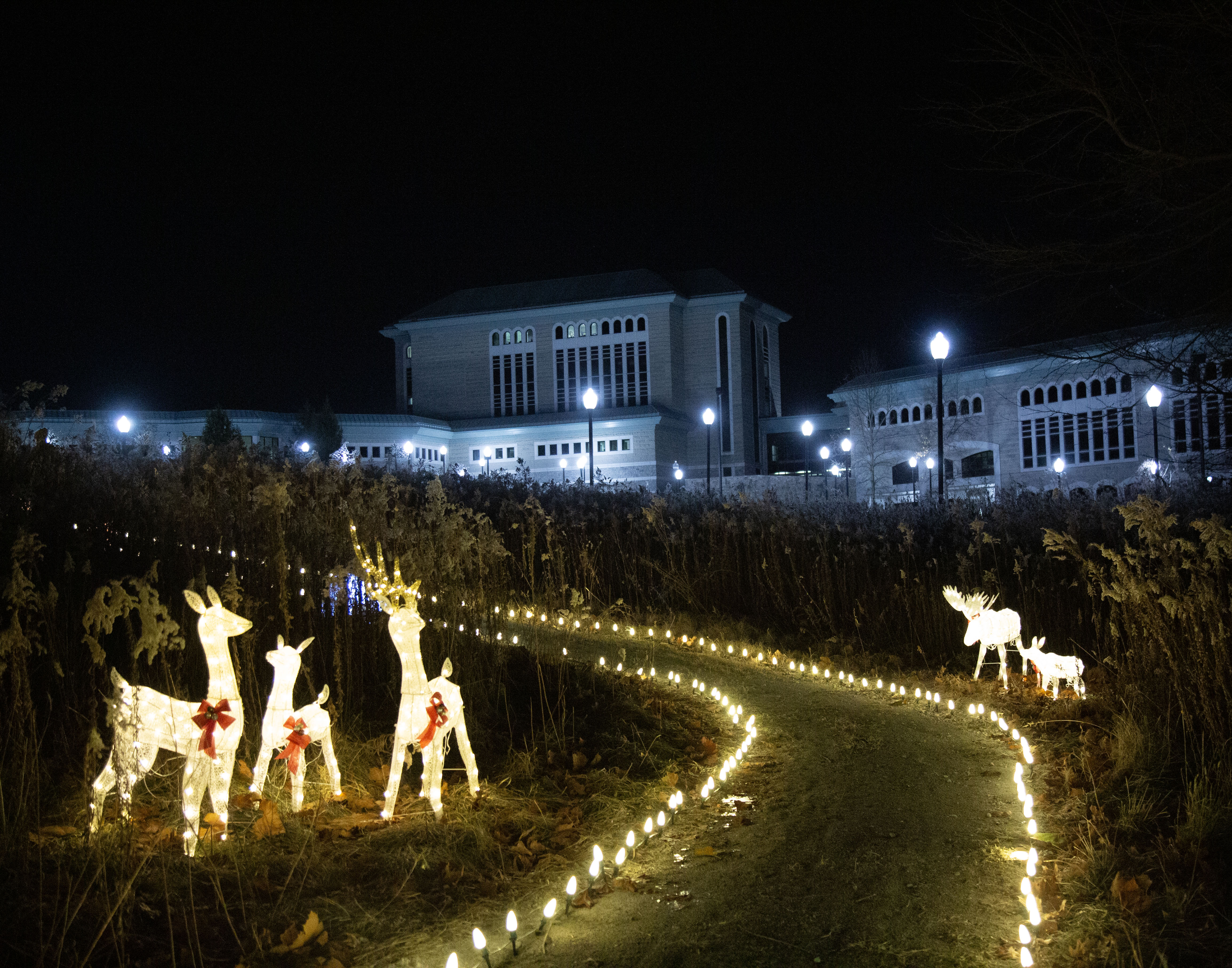 Hiking Through the Holidays, in its second year, opened Nov. 25 and runs until Dec. 16 at Lewis and Clark Community College. Photo by LAURA INLOW/Marketing & PR.