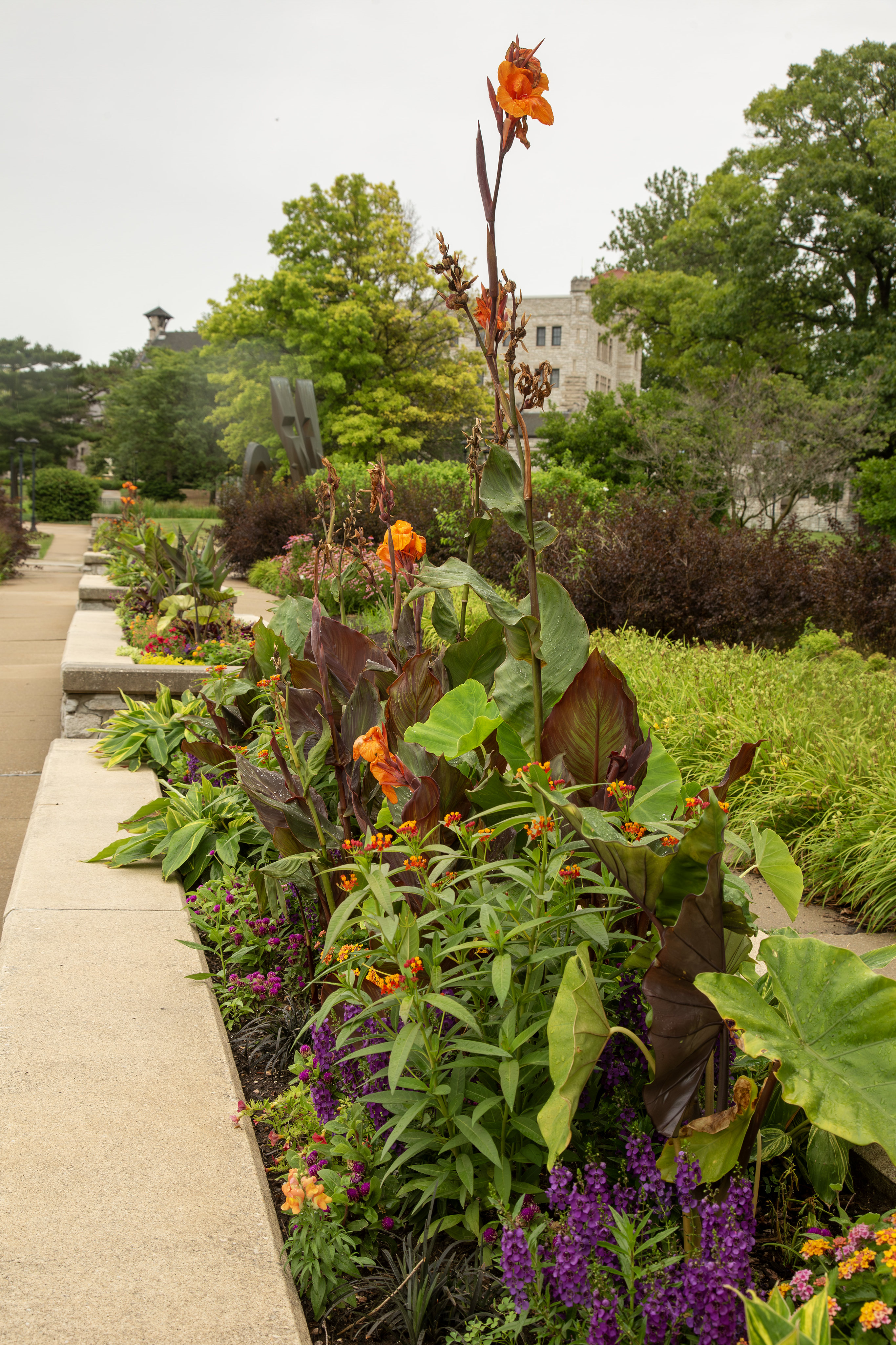 The Rivers of Color garden features towering tropical plants this year. JAN DONA/L&C Marketing & PR