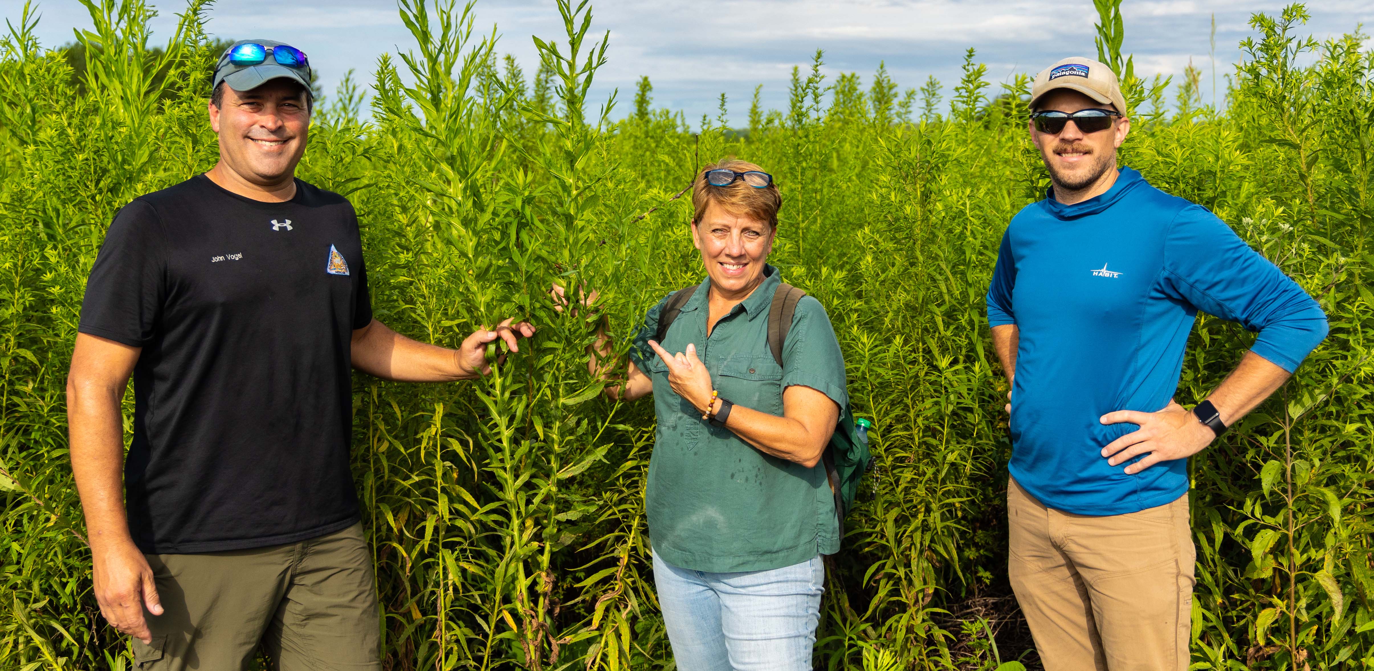 Paige Mettler-Cherry, of the National Great Rivers Research and Education Center, and John Vogel, of the Missouri Department of Conservation identify the Decurrent False Aster (Boltonia decurrens) at Columbia Bottom with Chris Sedivy, also of NGRREC (pictured on the right). PHOTO BY ALAN SHAWGO/ ROUTE 3 FILMS