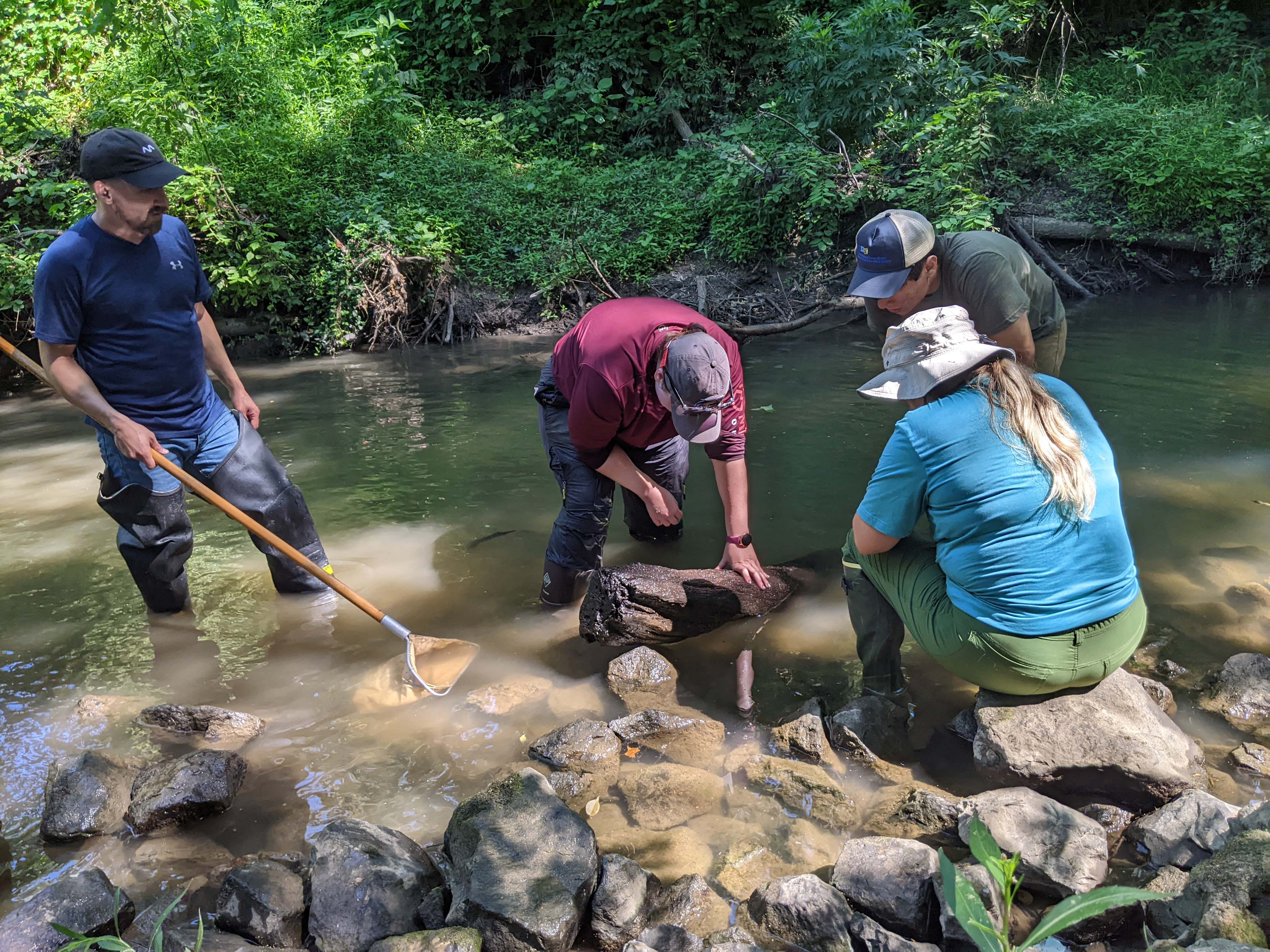 Hannah Griffis teaches RiverWatch volunteers how to collect stream-quality data. Photo by Mike Quirin