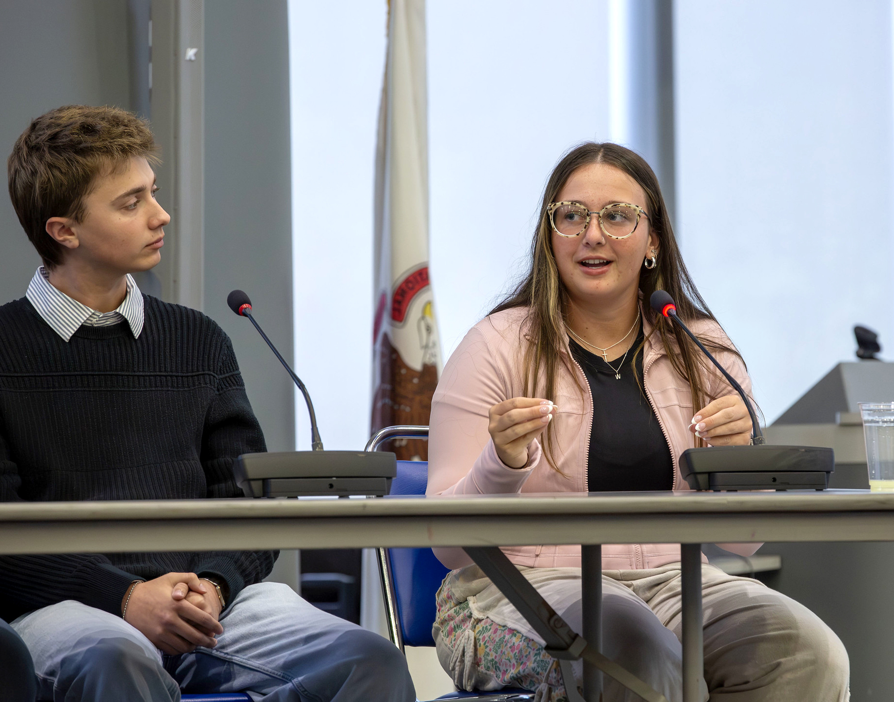 Lewis and Clark Community College students gathered online and in-person for a dynamic panel discussion.